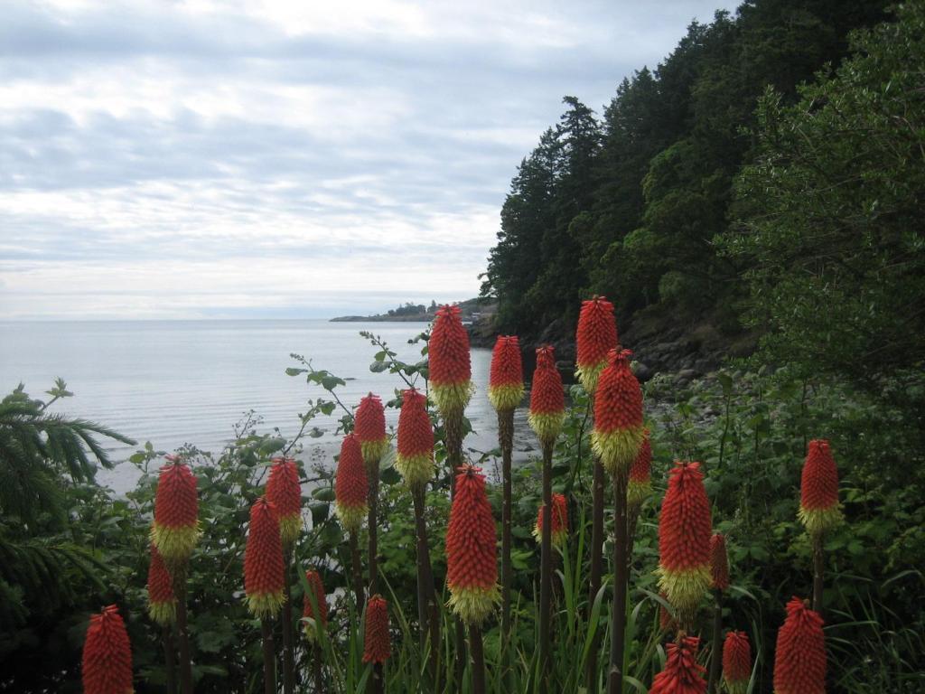 The Lodge At Weir'S Beach Metchosin Bagian luar foto