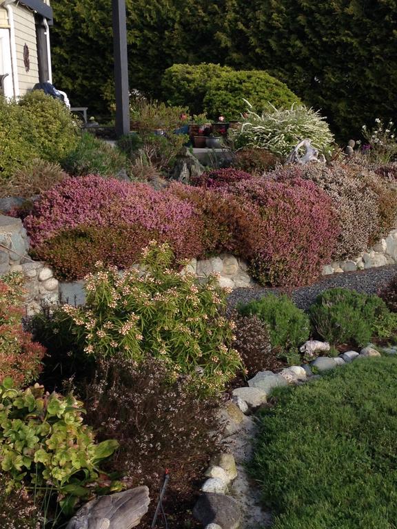 The Lodge At Weir'S Beach Metchosin Bagian luar foto